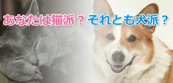 あなたは猫派？それとも犬派？日本での飼育割合はどのくらい？